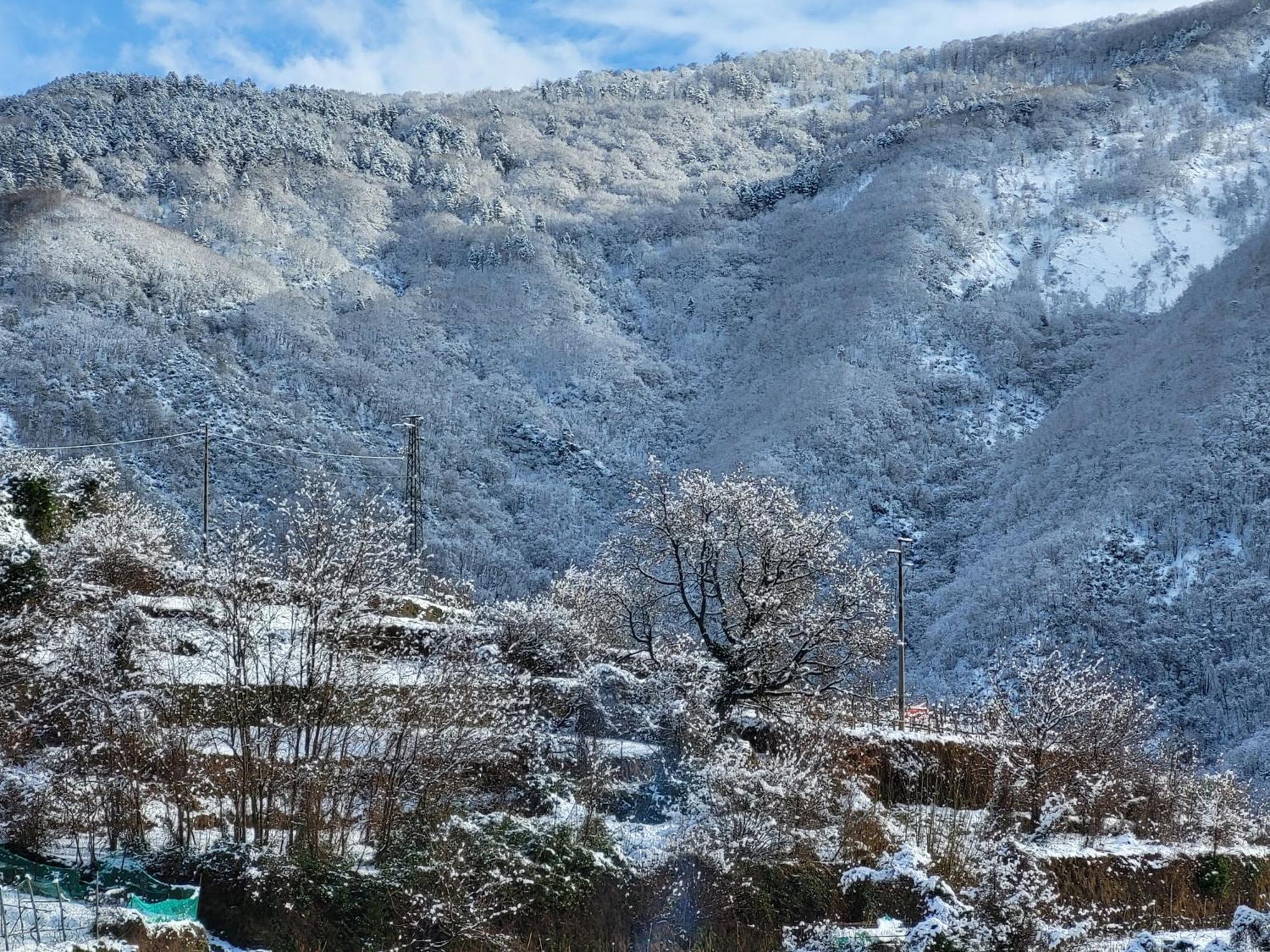 Vila Antiche Atmosfere... Borzonasca Exteriér fotografie